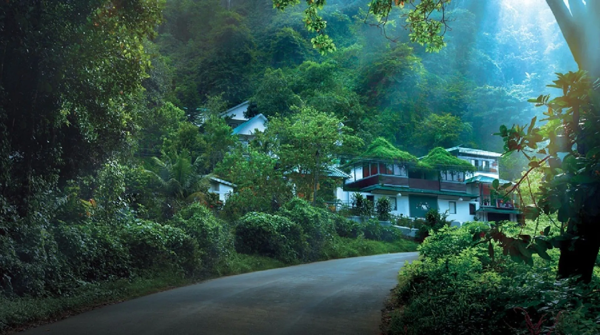 Bellavista Resort Munnar