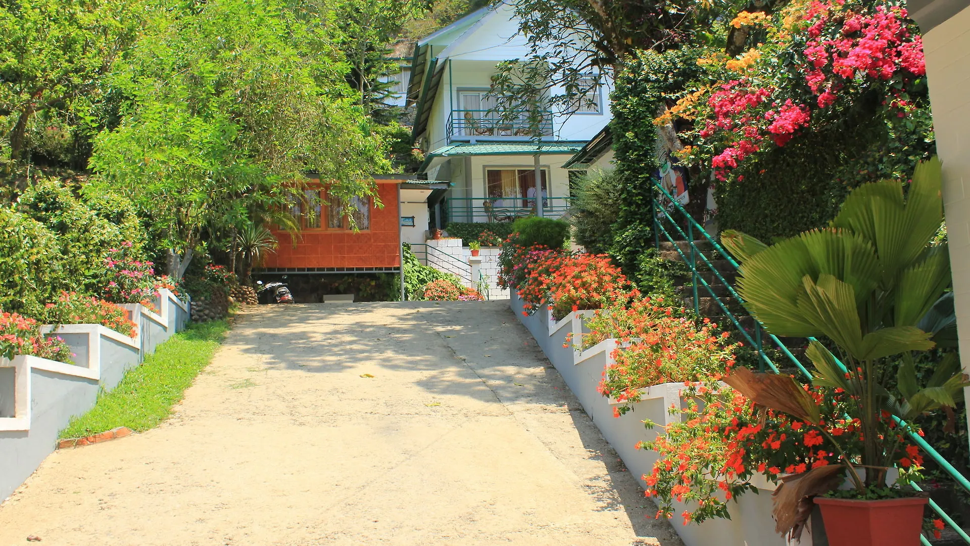 Bellavista Resort Munnar